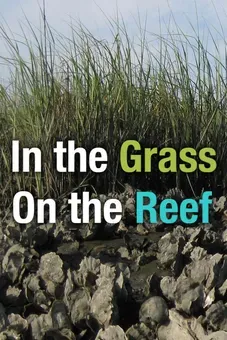 In the Grass, On the Reef