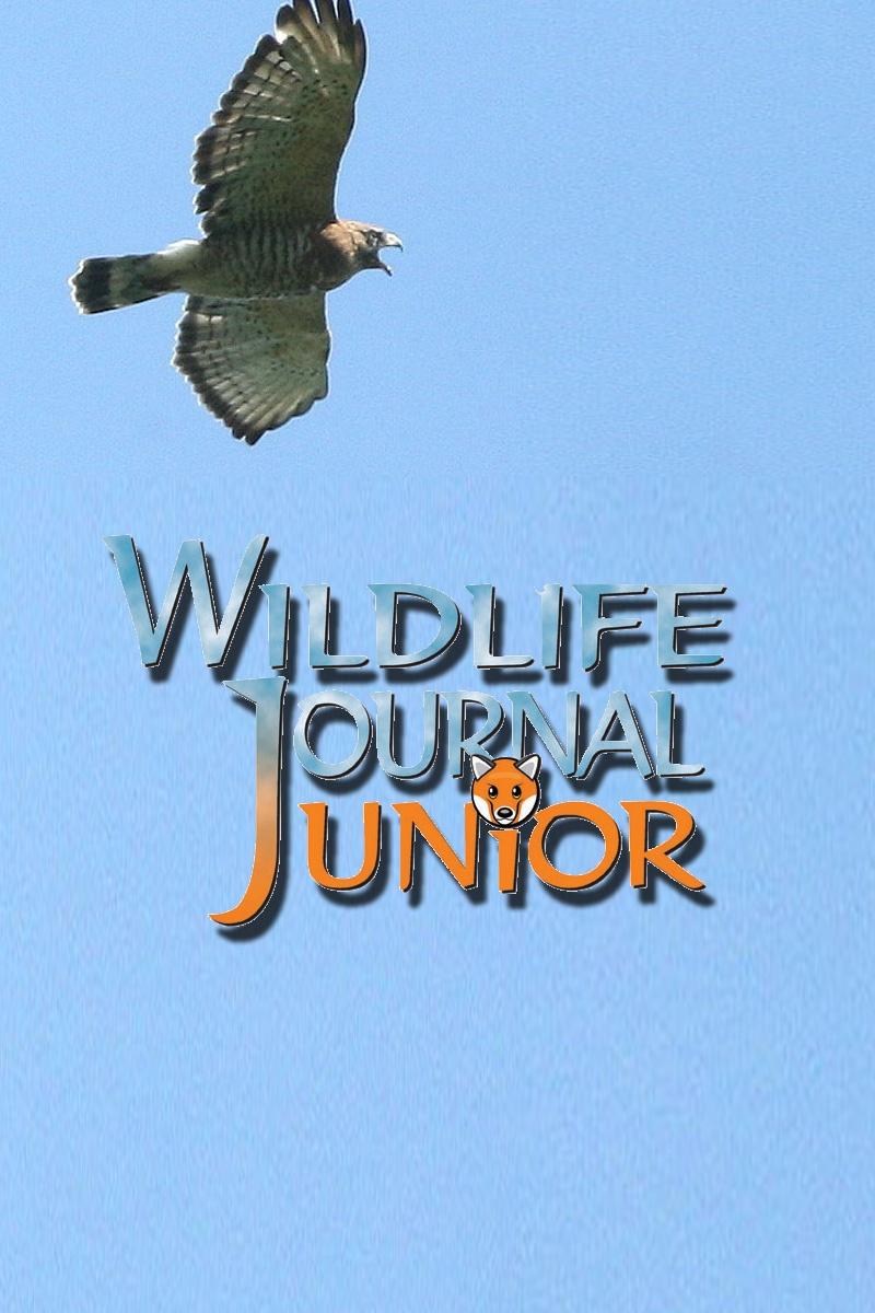 Fens  Wildlife Journal Junior
