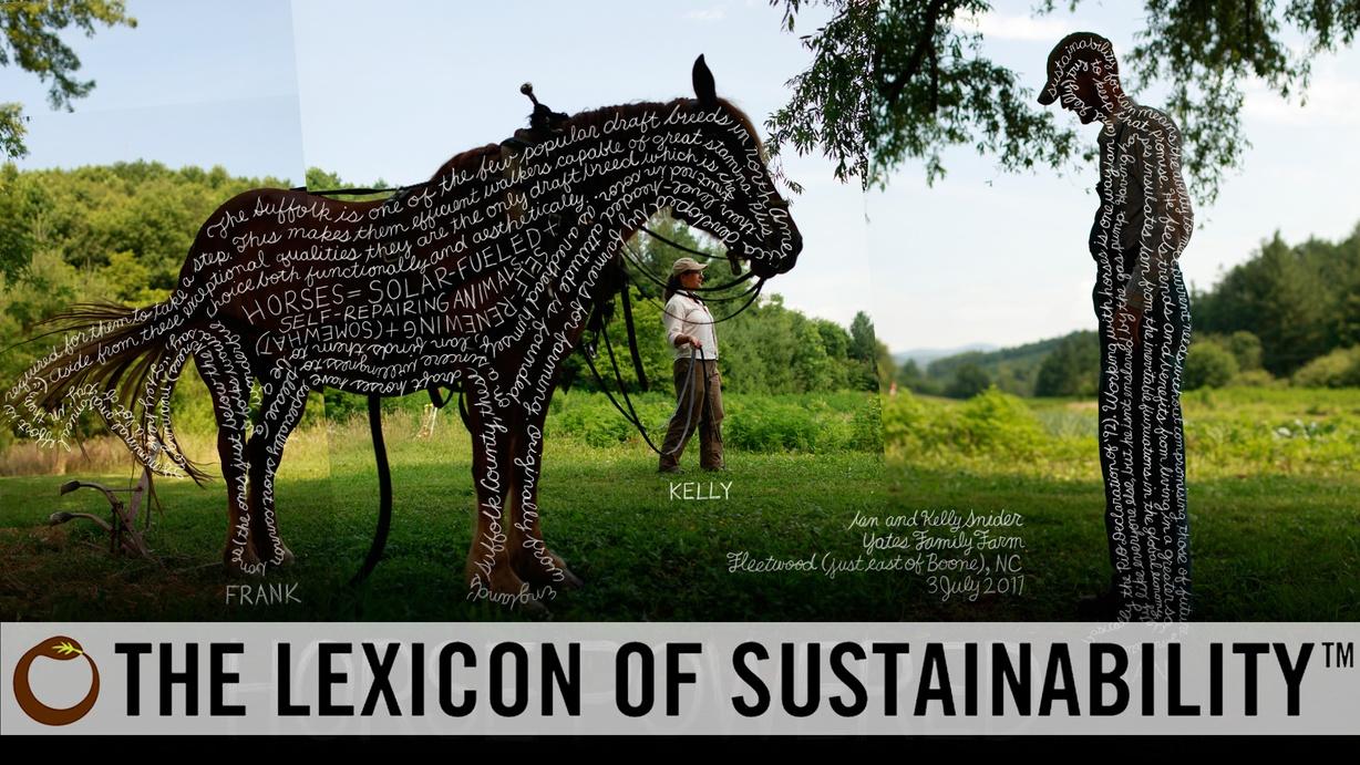 The Lexicon of Sustainability