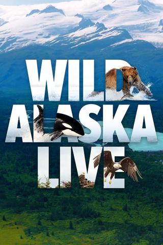 Poster image for Wild Alaska Live