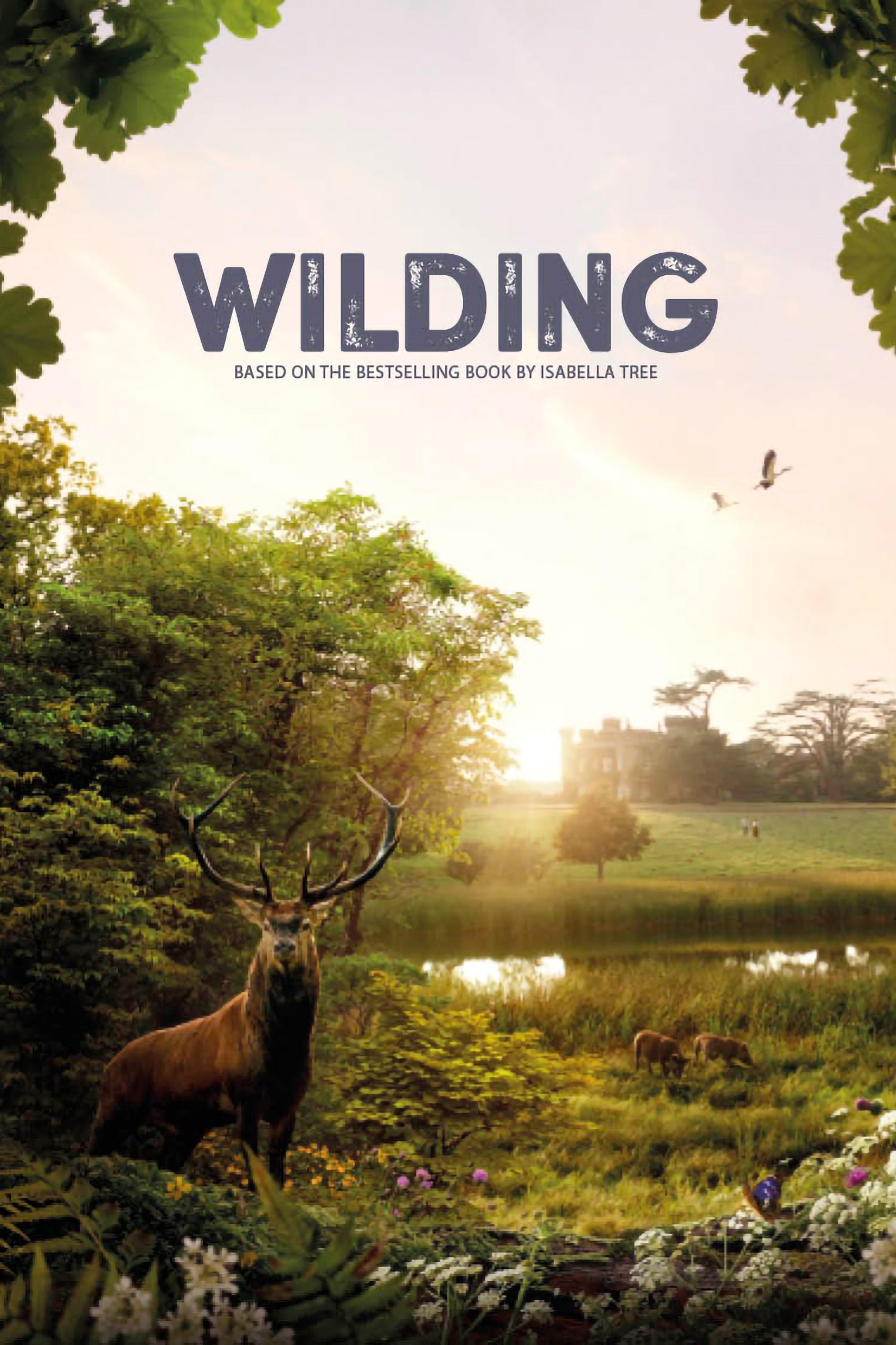 Wilding show's poster