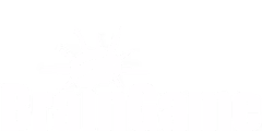 BGSU Brain Game