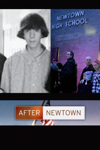 Poster image for After Newtown