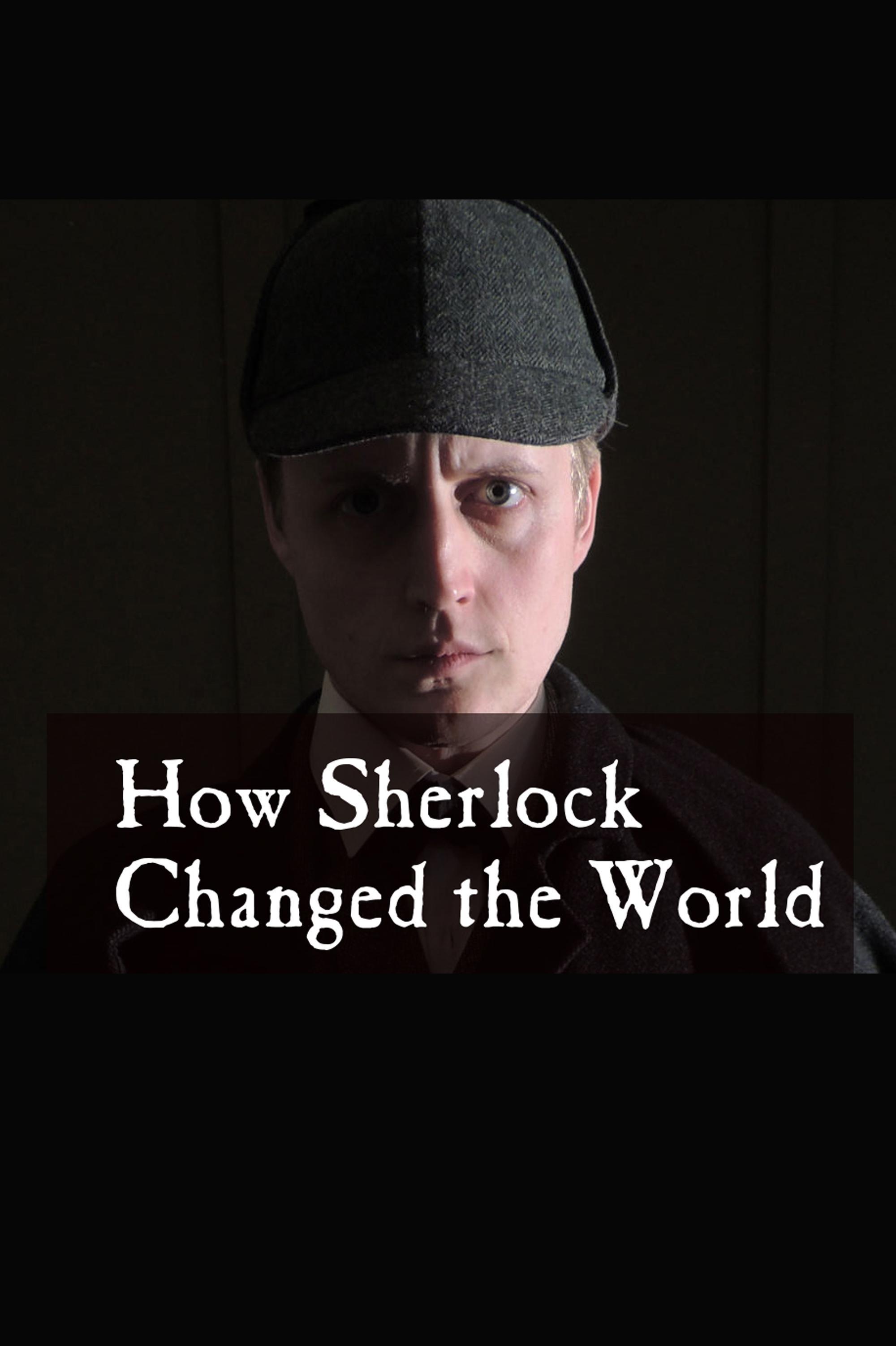 How Sherlock Changed the World show's poster