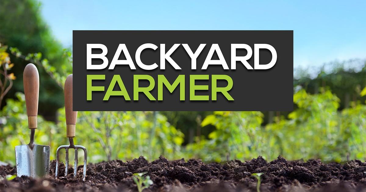 Backyard Farmer PBS