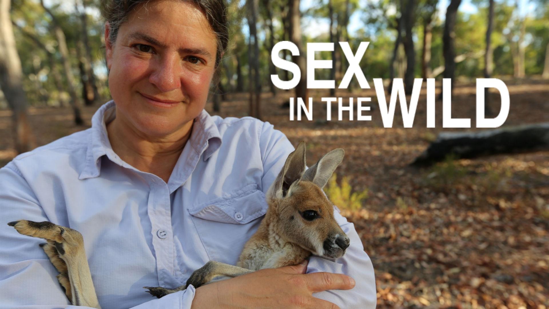 Sex in the Wild