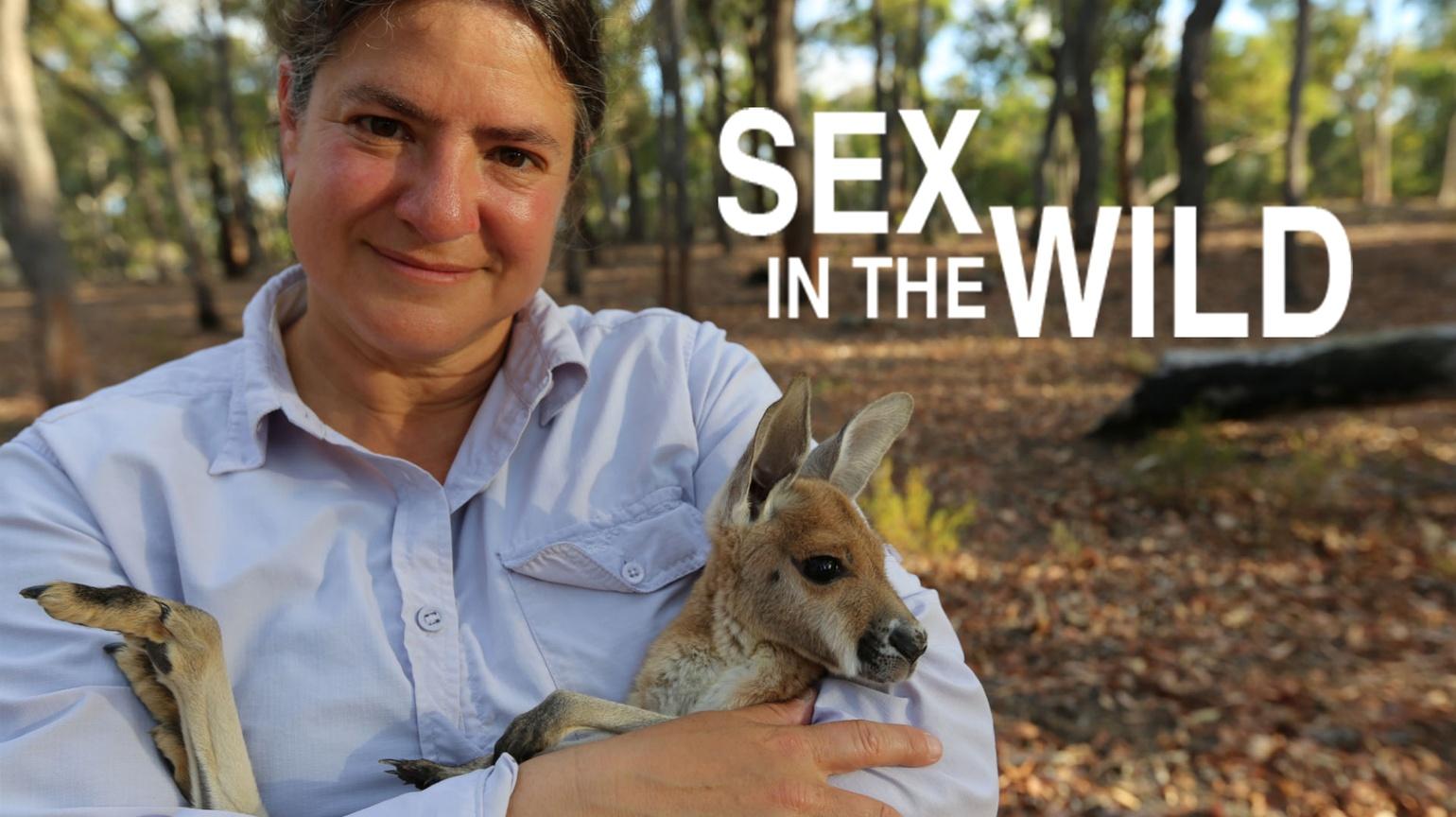 Sex in the Wild | Watch on PBS Wisconsin