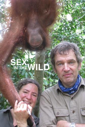 Sex in the Wild