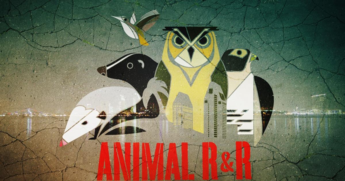 Animal R&R | PBS