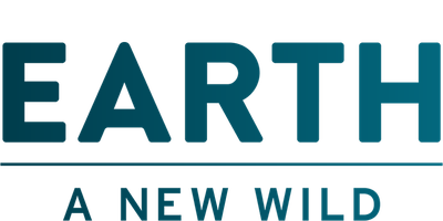 EARTH A New Wild