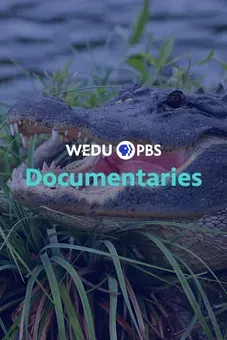 WEDU Documentaries