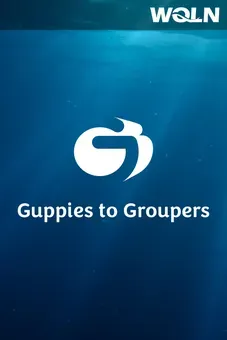 Guppies to Groupers