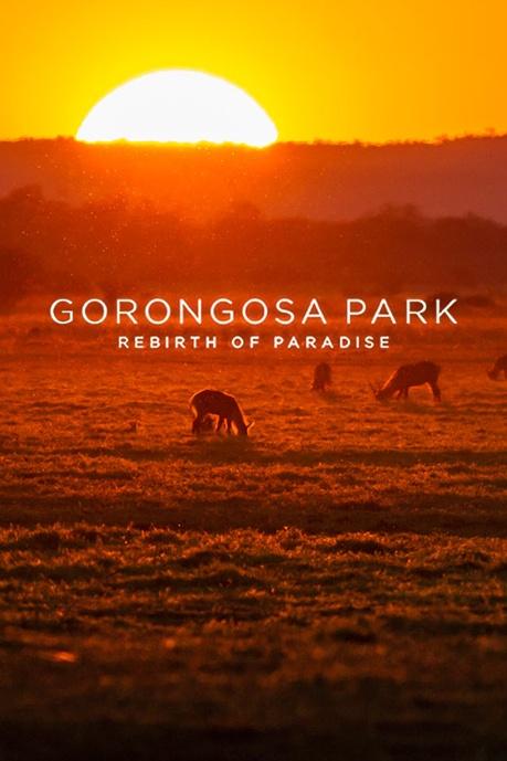 Gorongosa Park Poster