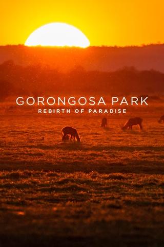 Poster image for Gorongosa Park