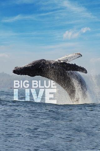 Poster image for Big Blue Live