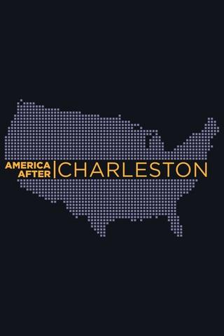 Poster image for America After Charleston