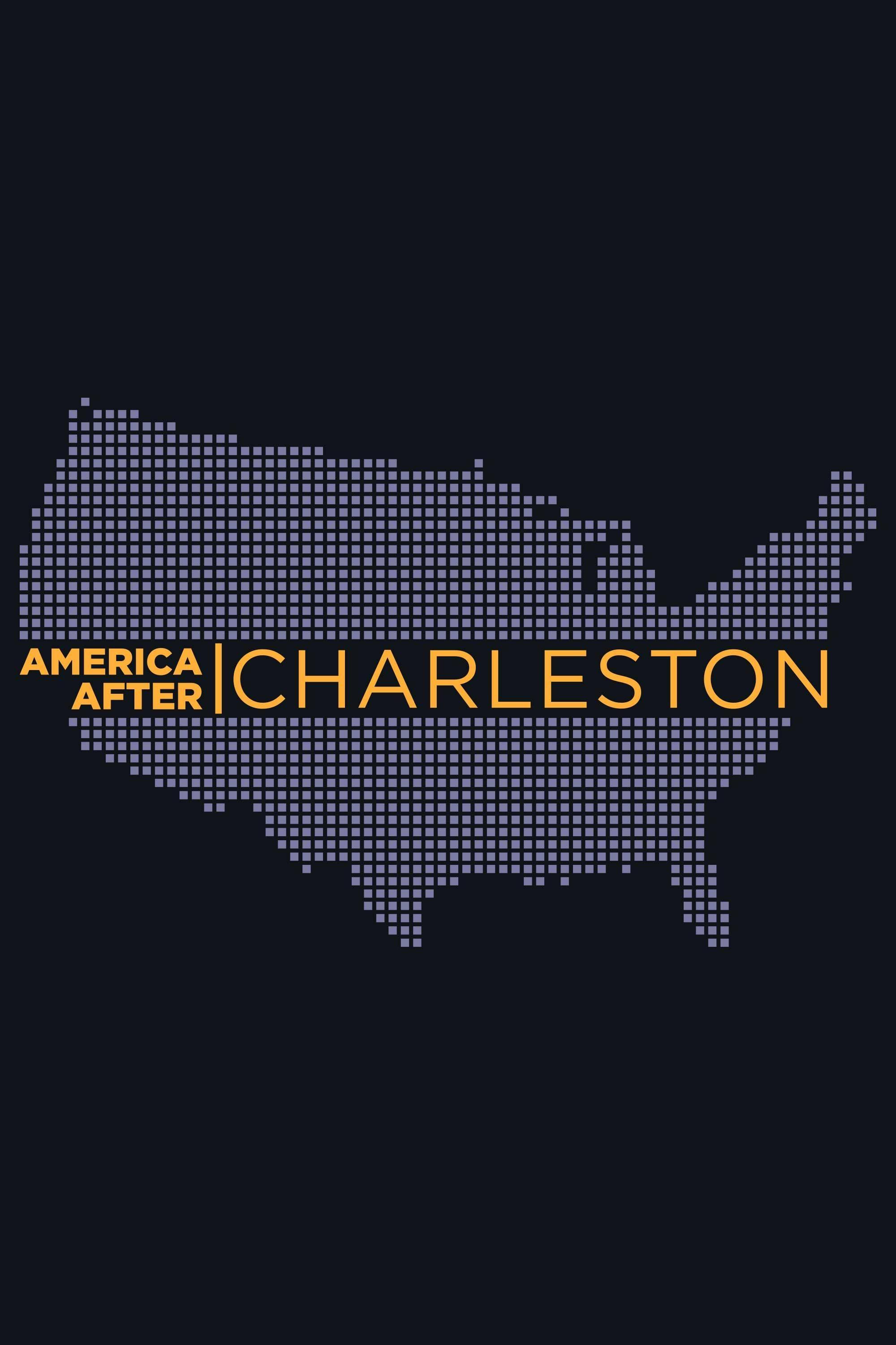 America After Charleston show's poster