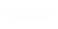 MSU Video