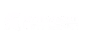 MSU Video