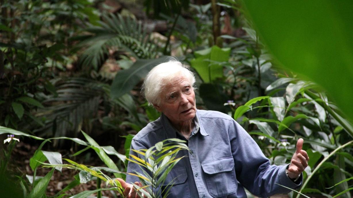 W.S. Merwin: To Plant a Tree