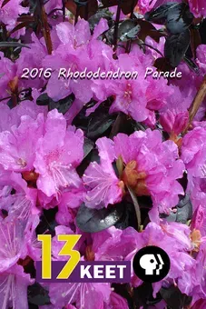 2016 Rhododendron Parade