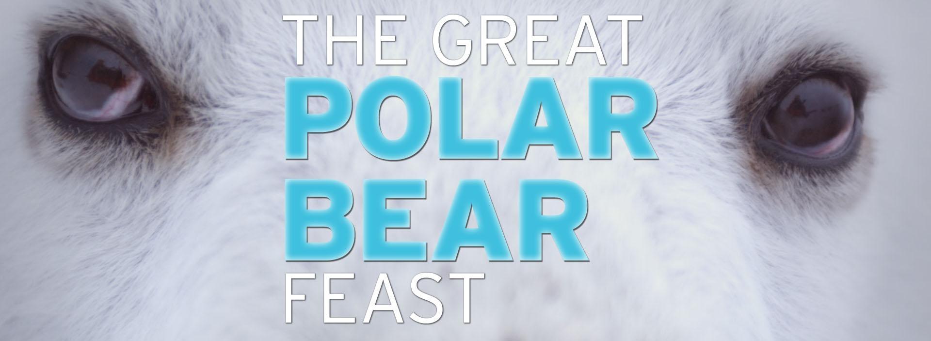 The Great Polar Bear Feast | PBS