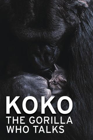 Poster image for Koko – The Gorilla Who Talks