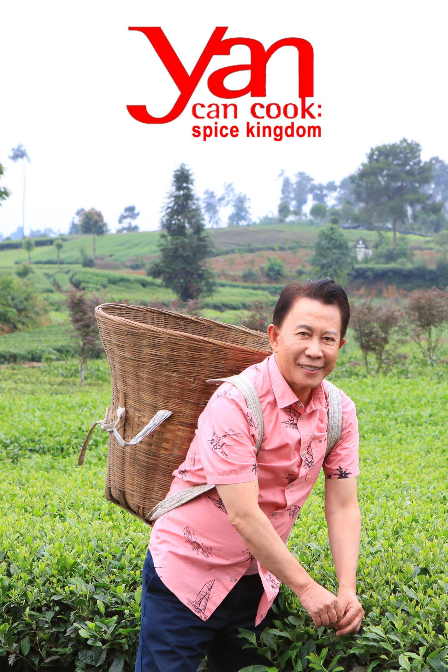 Yan Can Cook: Spice Kingdom show's poster
