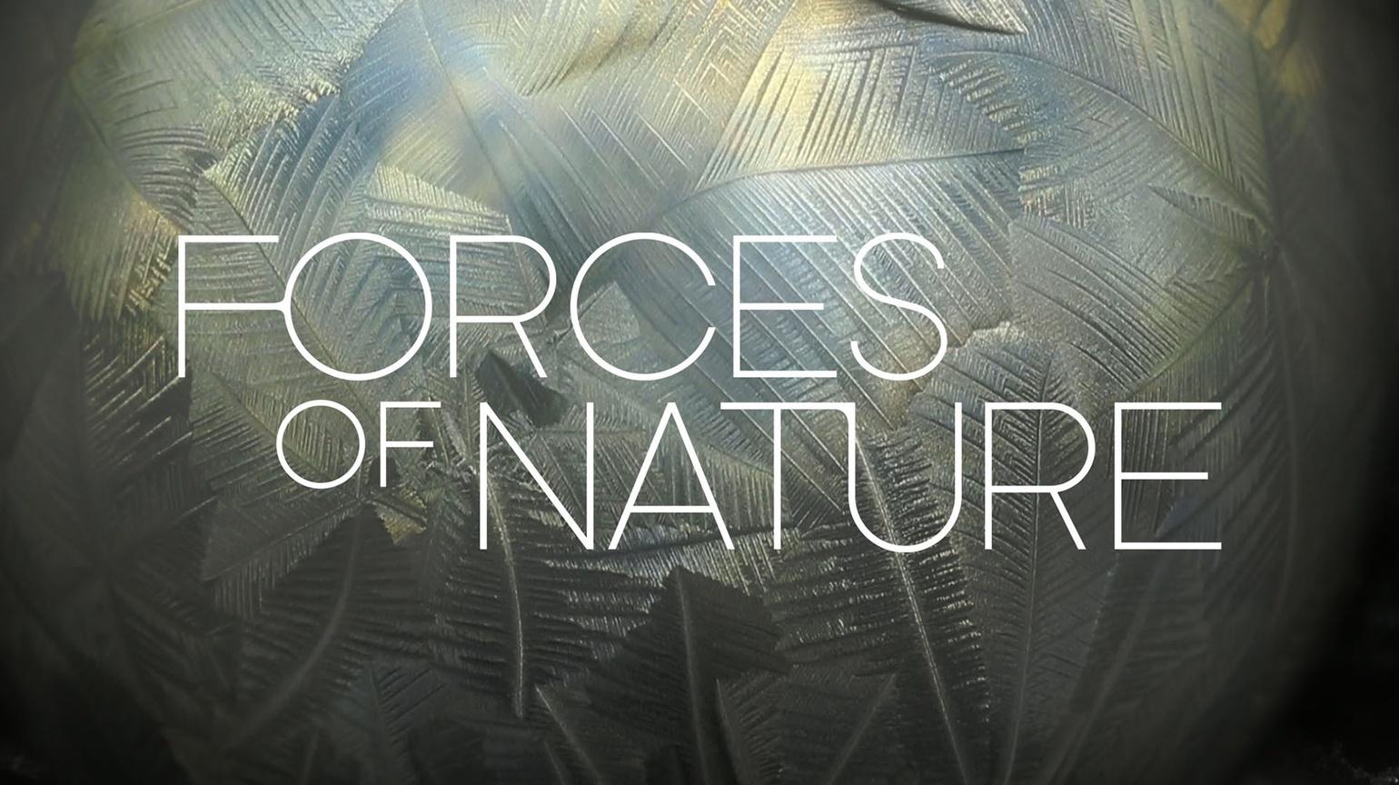 Forces Of Nature
