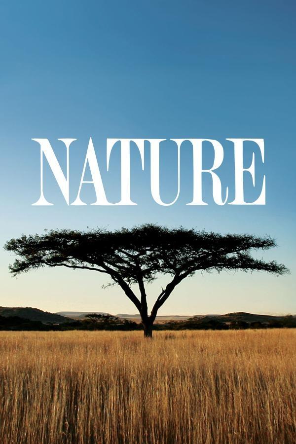 Nature show's poster