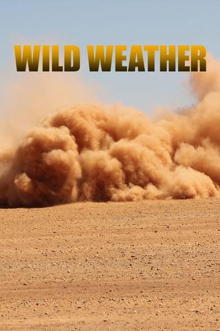 Poster image for Wild Weather
