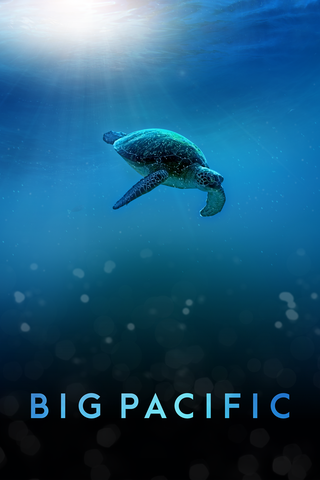 Poster image for Big Pacific