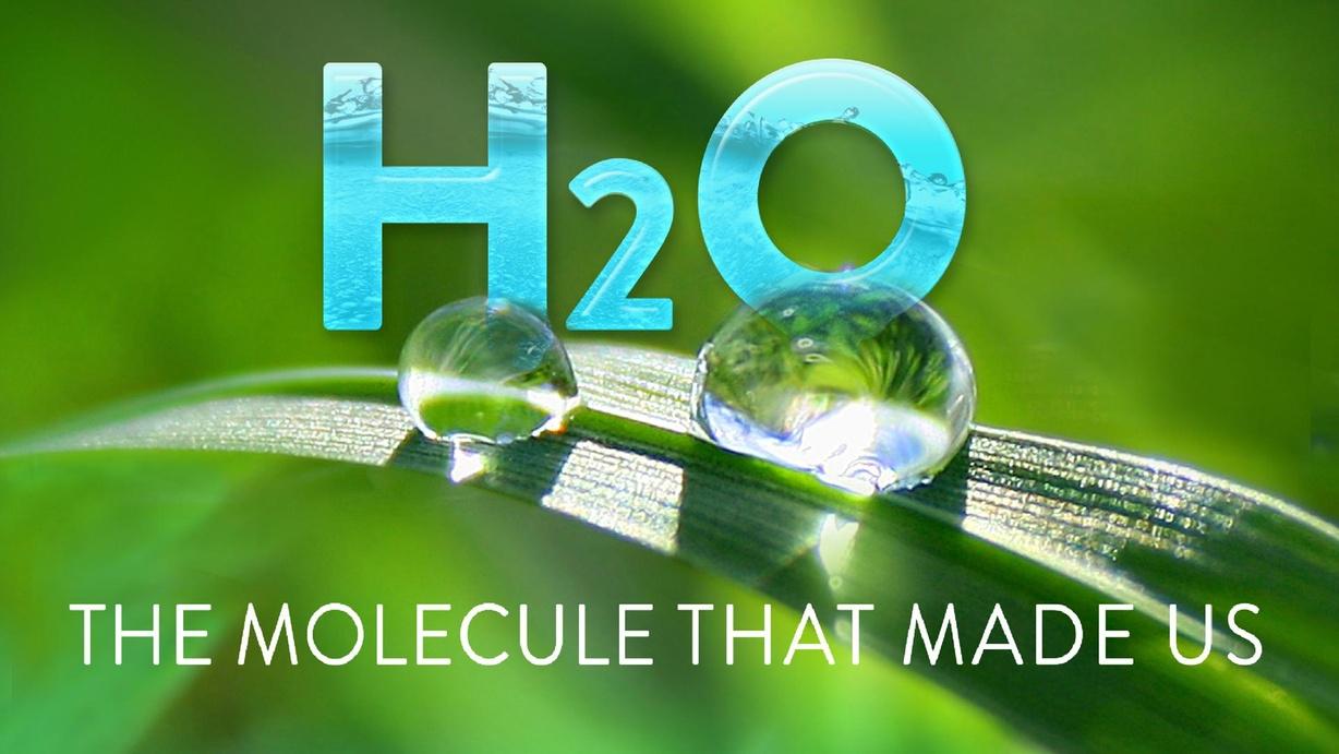 The Molecule That Made Us