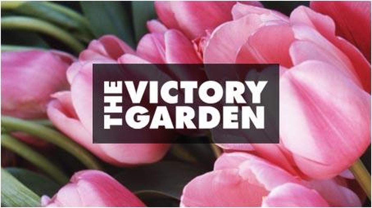 The Victory Garden Watch on PBS Wisconsin