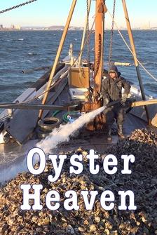 Oyster Heaven