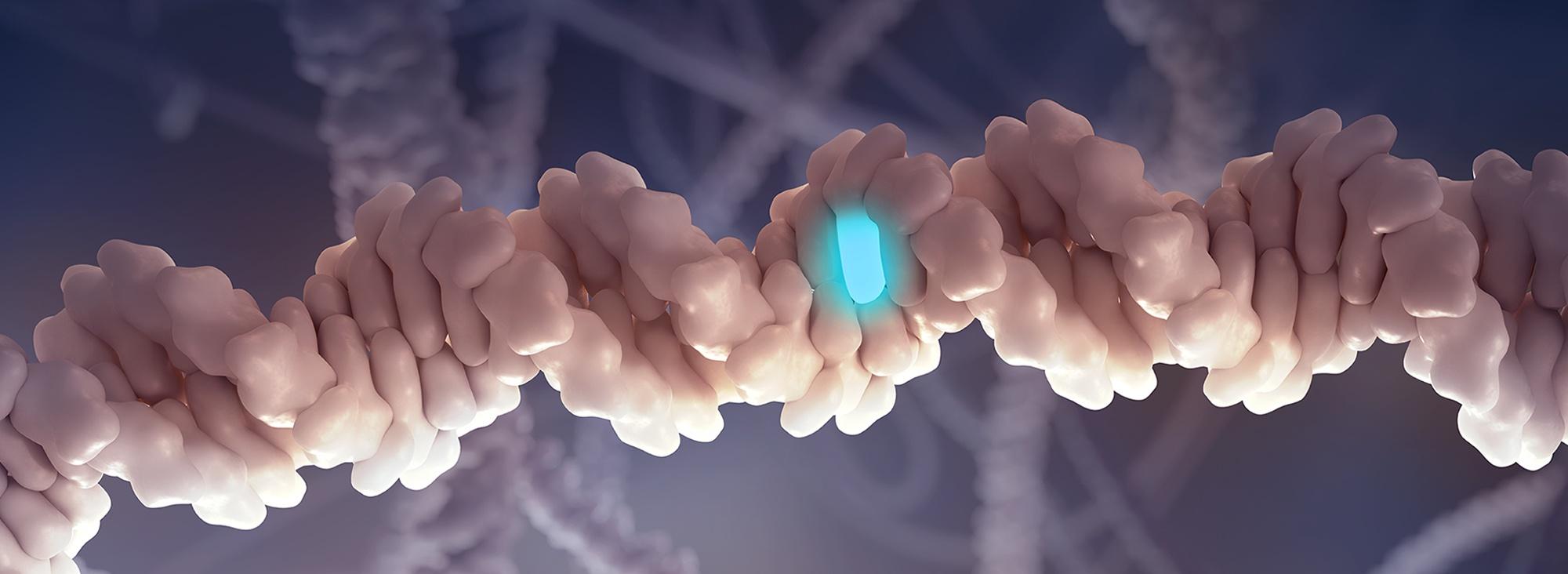 The Gene Doctors | PBS