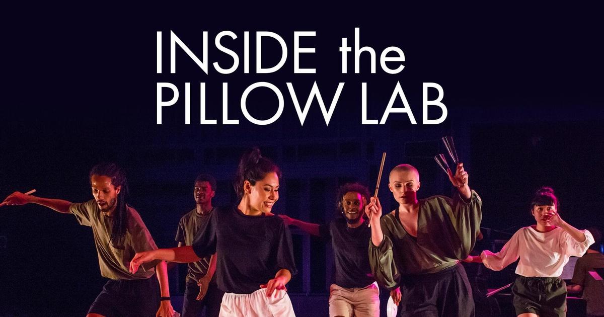 Inside the Pillow Lab PBS