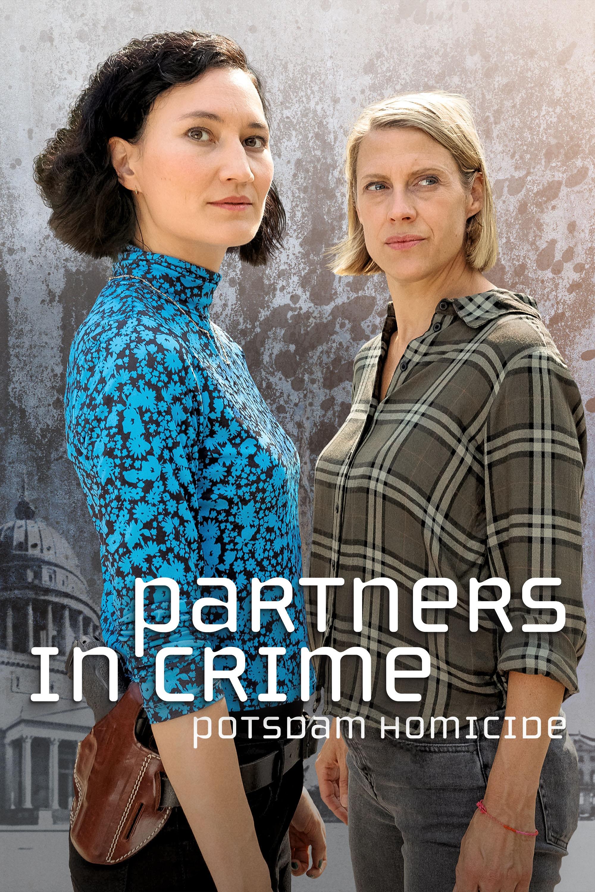 Partners In Crime: Potsdam Homicide show's poster
