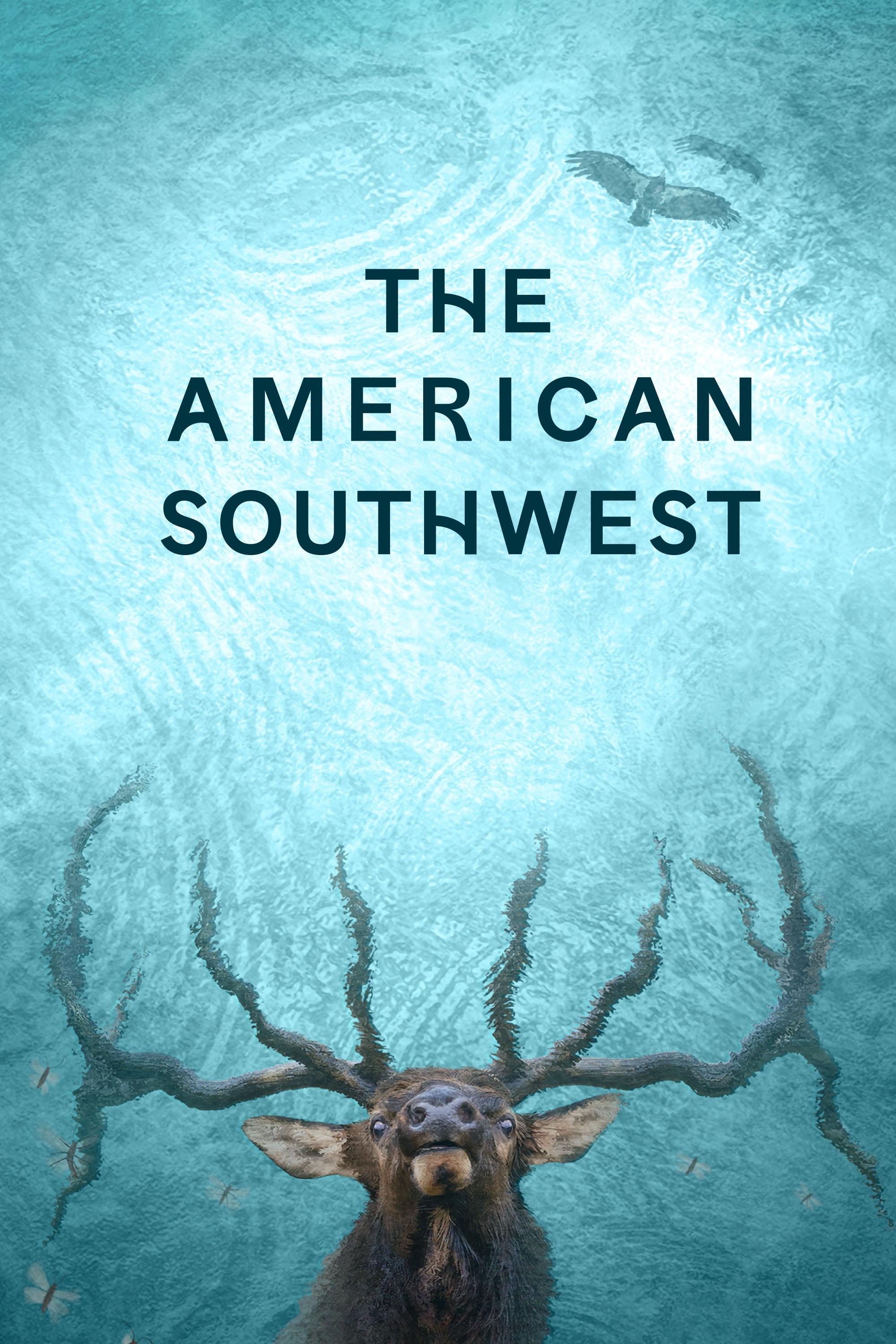 The American Southwest
