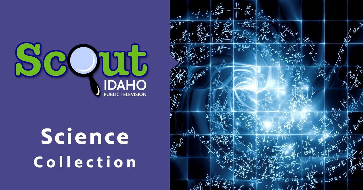 Scout-Science | PBS