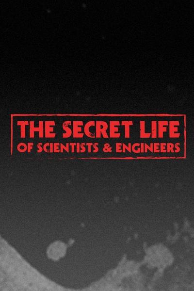 The Secret Life of Scientists & Engineers