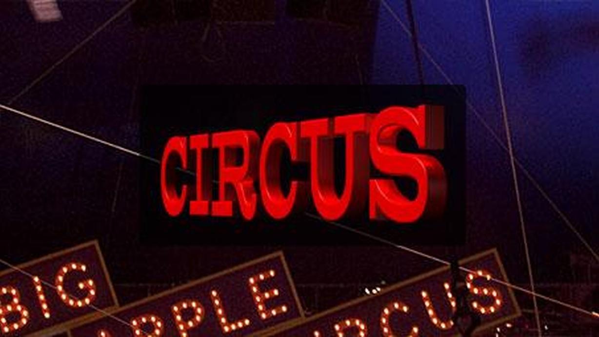 Circus