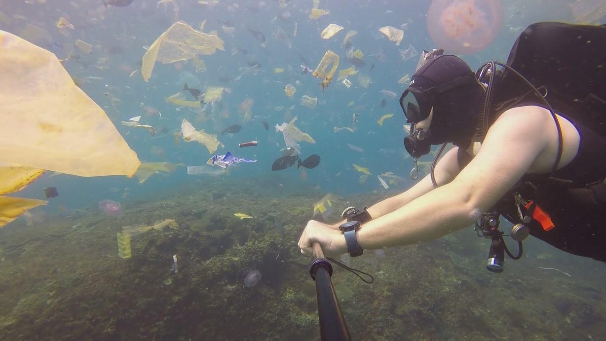 Single-Use Planet