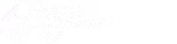 Detroit Performs 