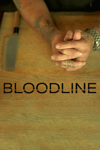 Poster image for Bloodline