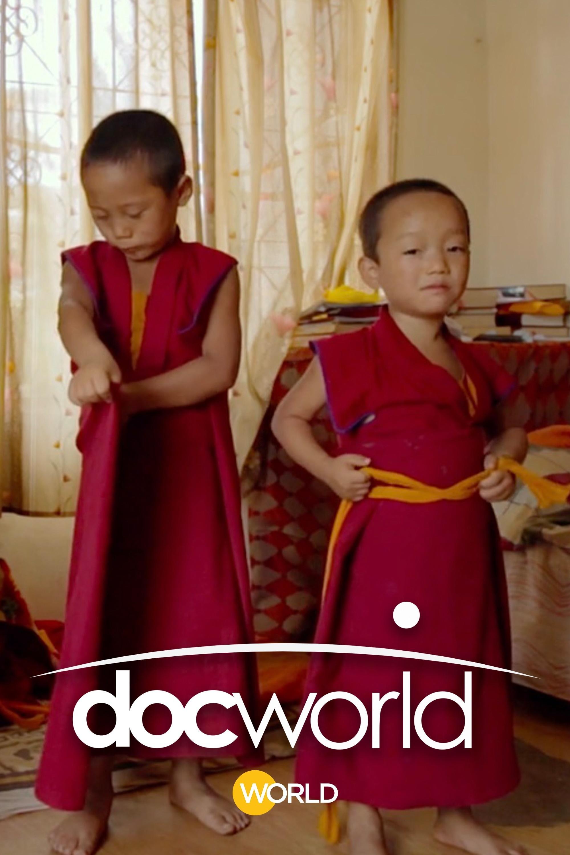 Doc World show's poster