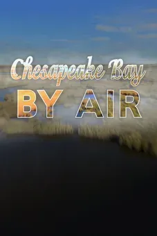 Chesapeake Bay by Air