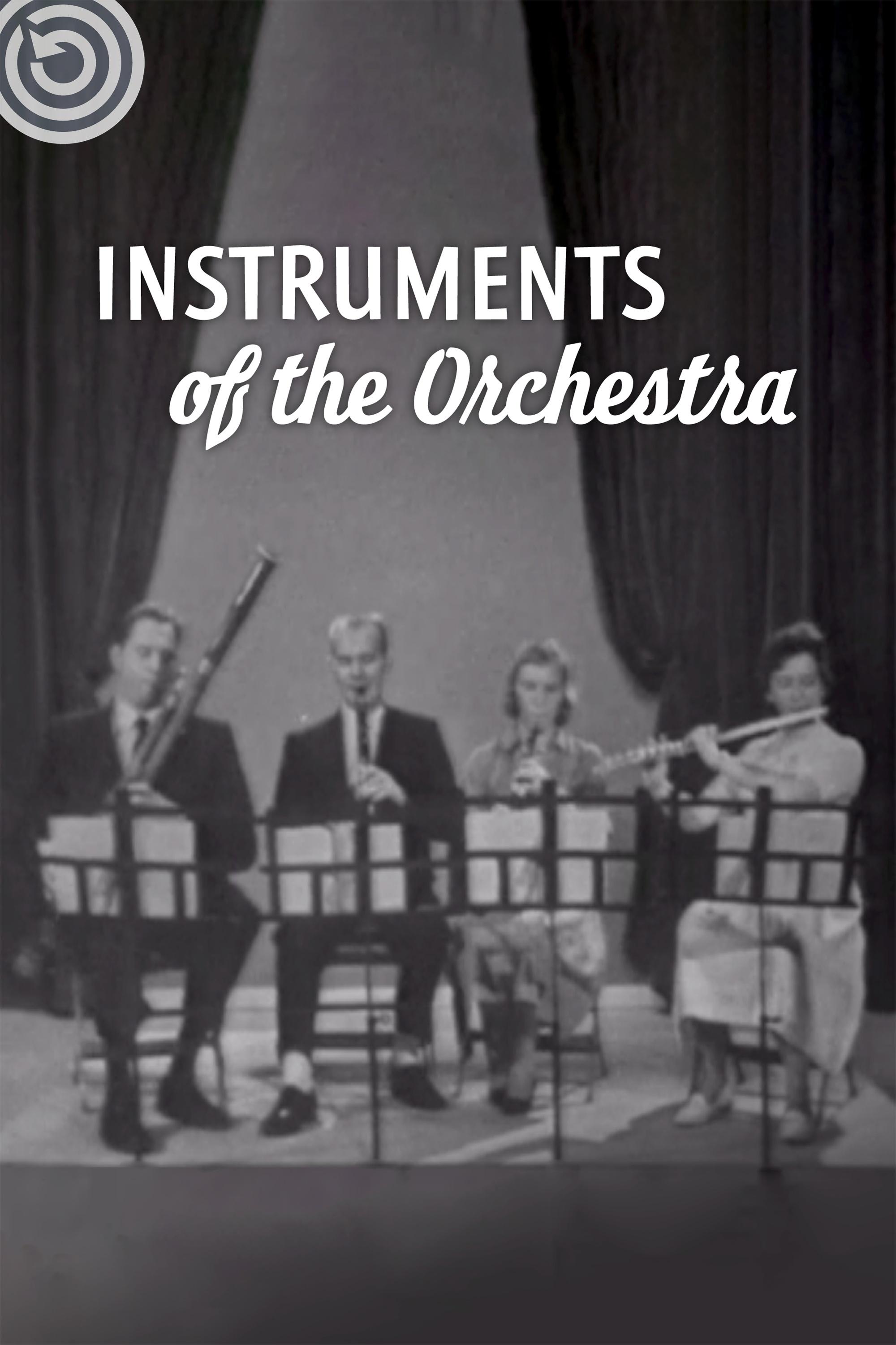 Instruments Of The Orchestra Poster
