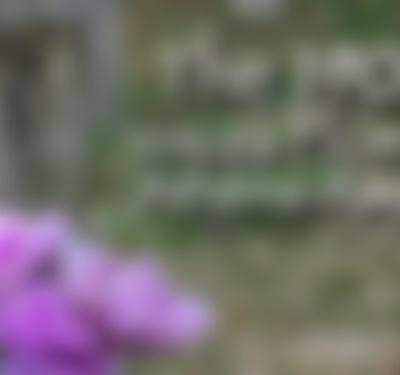 The 1900: Voices From the Athens Asylum