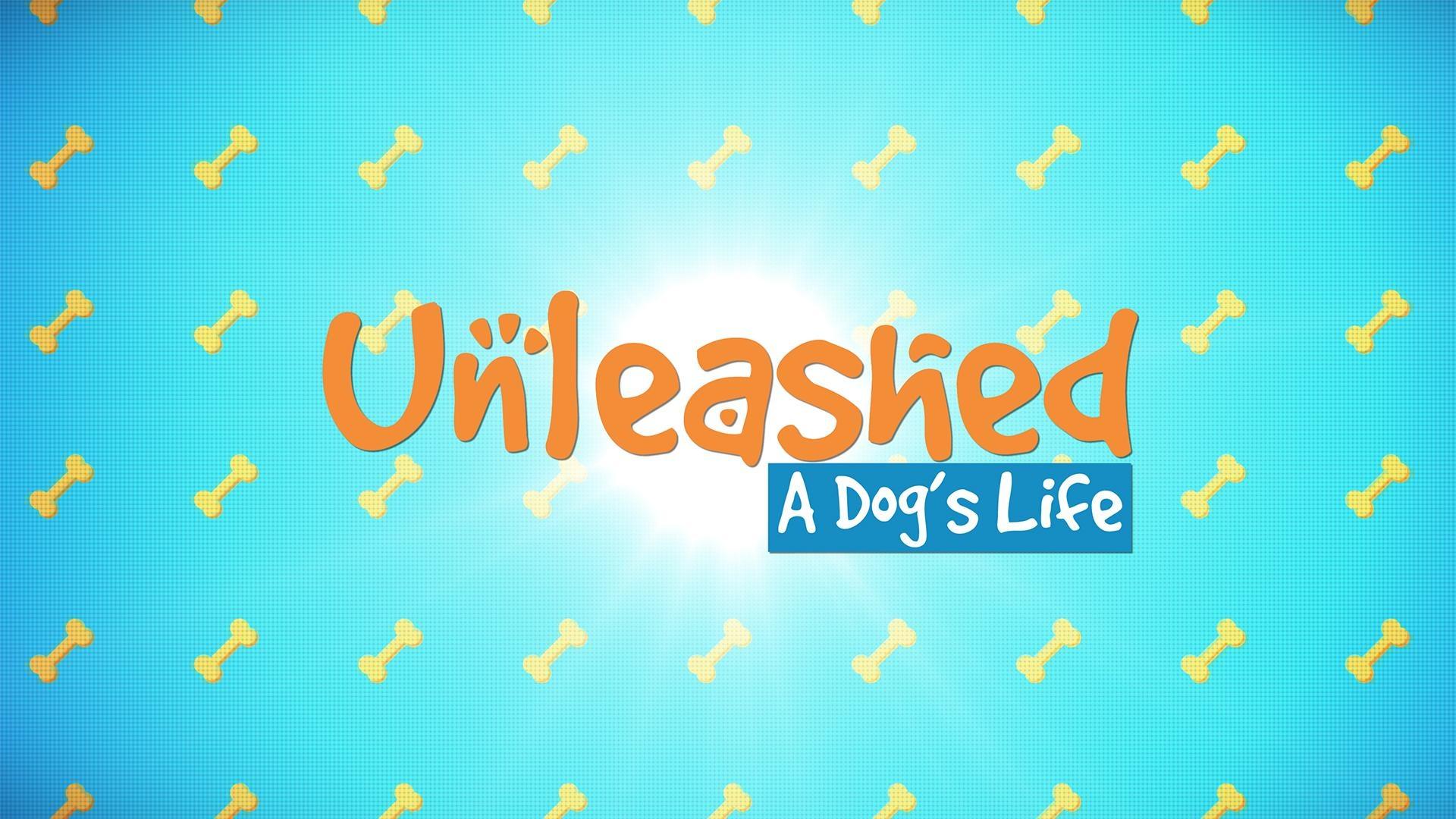 a dogs world unleashed